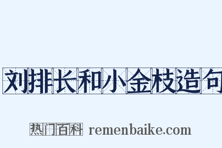 刘排长和小金枝造句是什么意思的图片
